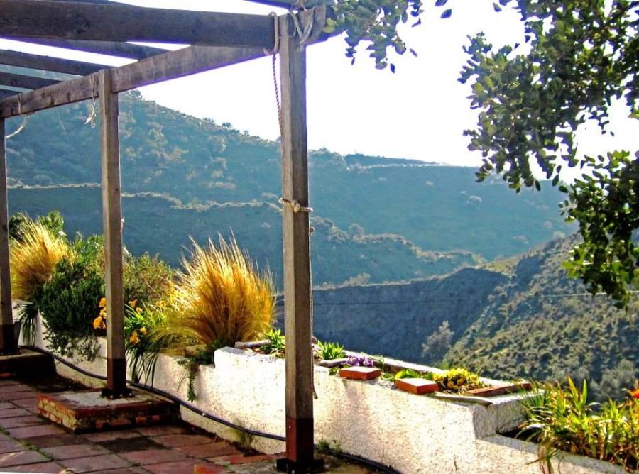 Trapiche Montes Negros