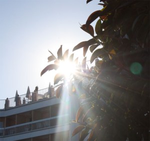 Palaya El Salon 20130602 01