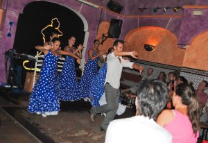 Nerja Burro Blanco Romero