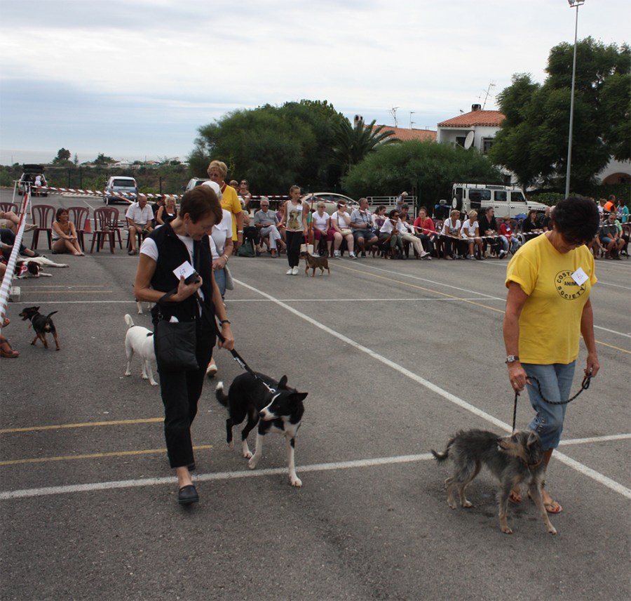 Nerja Hondenshow resized