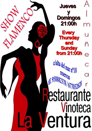 Almunecar Ventura Flamenco