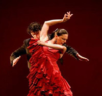 Paco Pena and the flamenco dance company.