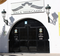 nerja-salamercado