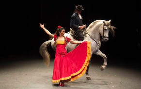 Nerja Festival MyD Carmen