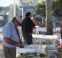 Nerja San Juan Diner 5