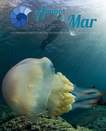 Herradura Festival del Mar