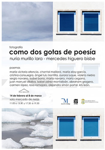 Nerja Sala Mercado Poesia