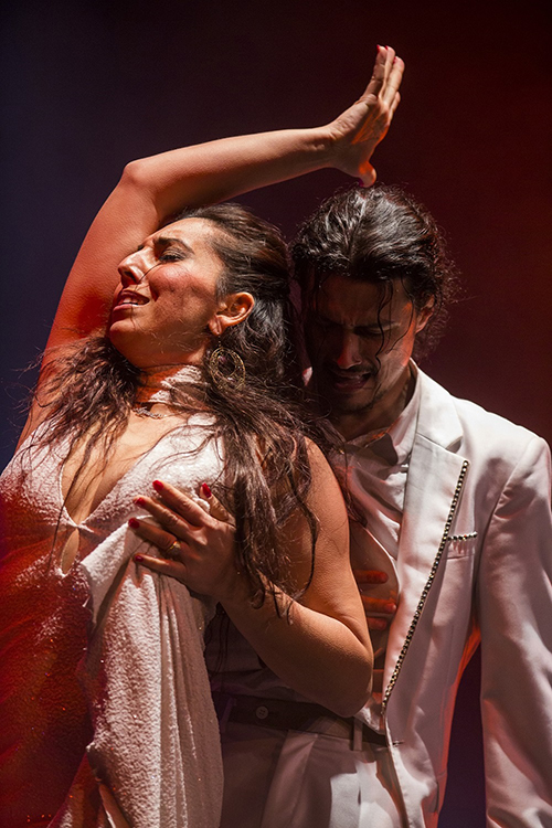 Nerja CCN Cartel-Por-derecho