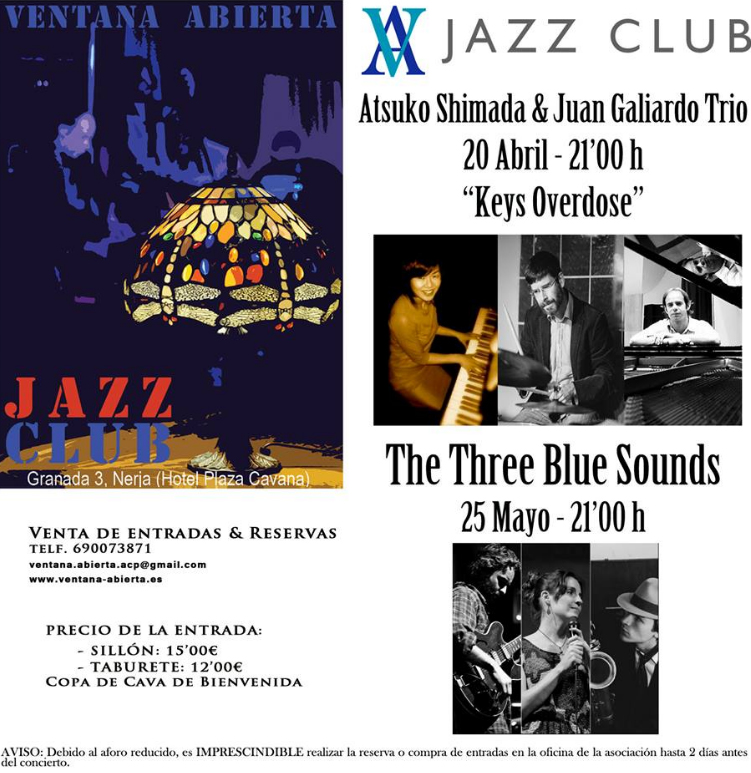 Nerja Ventana Abierta Shimada