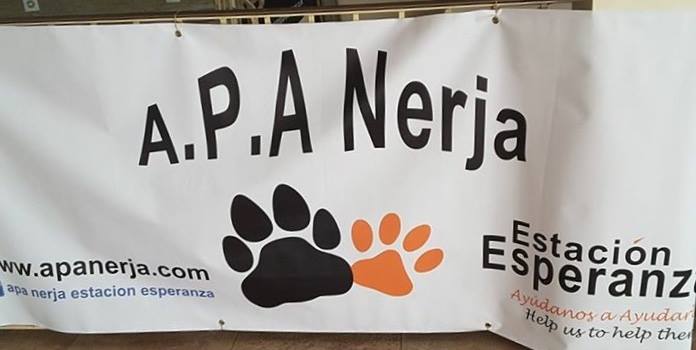 Nerja APA