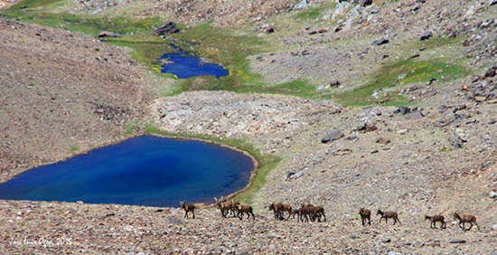 Sierra Nevada Lanjaron