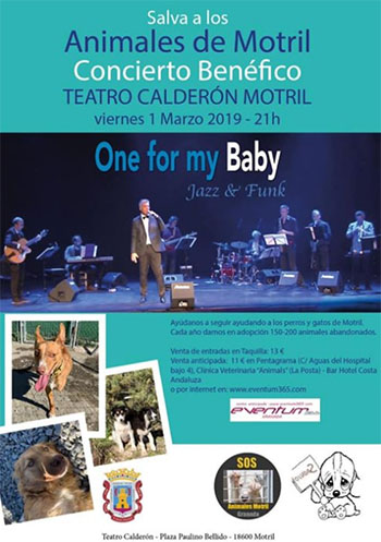 Motril One for my Baby 201903
