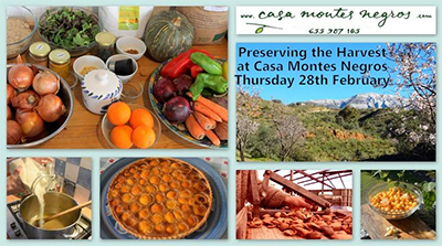 Trapiche Casa Montes Negros Harvest