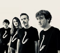 Nerja CCN Sinoidal Ensemble