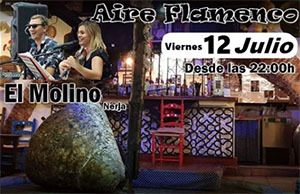 Nerja Molino Aire Flamenco 201907