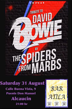 Puente don Manuel Atila Spiders