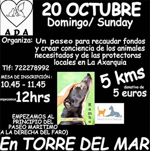 Torre ADA walk