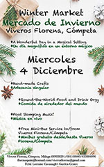 Competa kerstmarkt 2019 klein