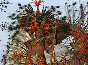 Nerja Carnaval 2020 foto AN