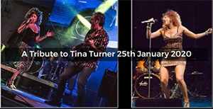 Nerja Fitzgeralds Tina Turner Tribute