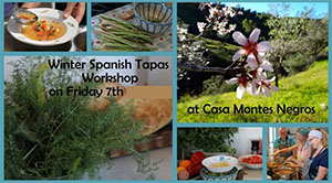 Trapiche Montes Negres 20200131