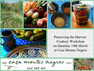 Trapiche Montes Negros Harvery