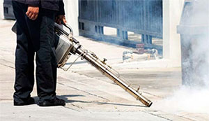 Nerja Bestrijding Ongedierte